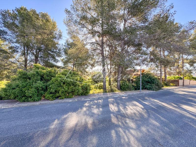 Foto b8e1159e-14fa-45e3-9d47-e921001b1bd9. Terrain résidentiel dans ceps dels 3 dans Pallaresos (Els)