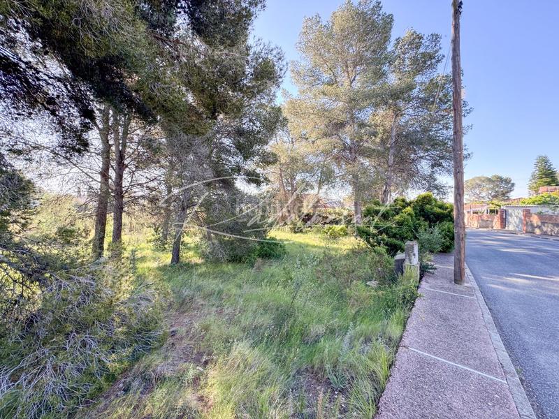 Foto c5e75a18-11a4-4918-a2b3-cc653a9cca7b. Terrain résidentiel dans ceps dels 3 dans Pallaresos (Els)