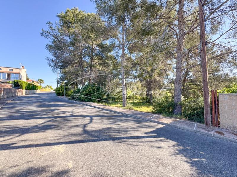 Foto dacf8652-b753-4cf9-bb07-182606672289. Terrain résidentiel dans ceps dels 3 dans Pallaresos (Els)