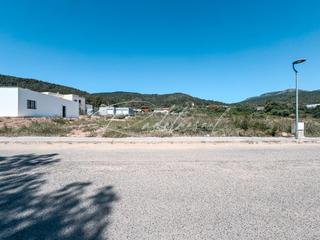 Terreny residencial a Baix camp. Tu oportunidad en alcover está aquí!