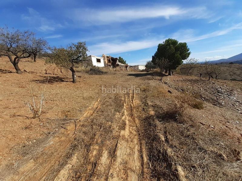 Foto 5c77d7ec-105f-4288-bed1-4b482fb4abcb. Finca rústica a Vélez - Rubio