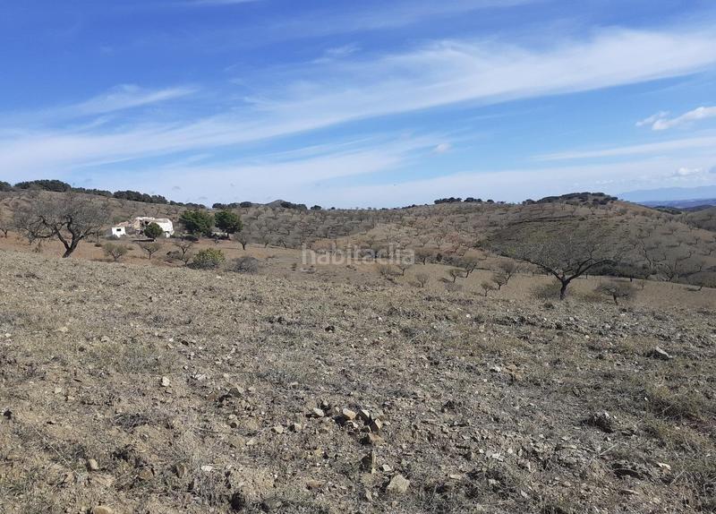 Foto 7451ada7-8b54-4126-8274-3477d2043f66. Finca rústica a Vélez - Rubio