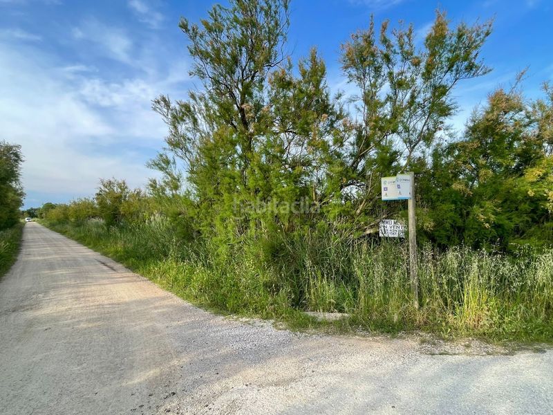 Foto 06b7b855-67e0-4cc9-95ed-076dcf6658ff. Finca rústica a Sant Pere Pescador