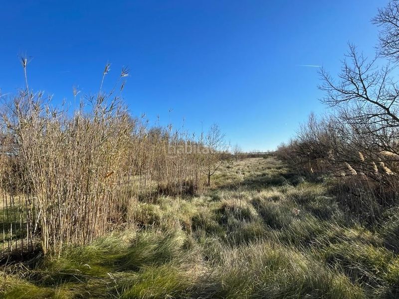 Foto 0ce082b3-b2a0-40ce-ae5f-752ef37e2294. Finca rústica a Sant Pere Pescador