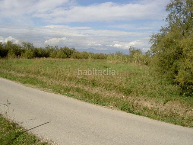 Foto 17ebe330-eae9-4319-a03e-25ea7391ad92. Finca rústica a Sant Pere Pescador