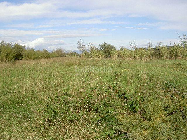 Foto 1a63b8bf-1e62-47e8-9035-acf2bad87085. Finca rústica a Sant Pere Pescador
