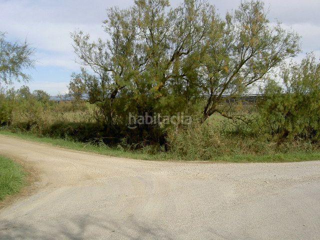 Foto 1b44d9a8-6e1b-4b4a-8b73-a4440bdfd498. Finca rústica a Sant Pere Pescador