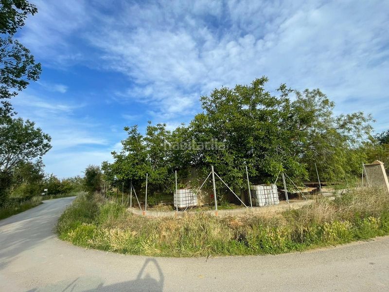 Foto 2722ec1c-867f-4ced-b32b-439eb0f76b2f. Finca rústica a Sant Pere Pescador