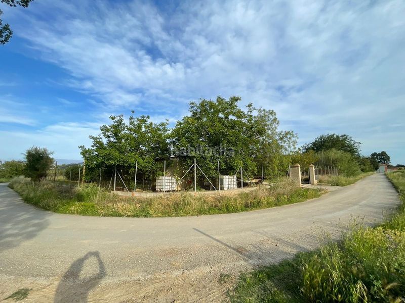 Foto 35349eba-30ed-49a7-a25b-44cc93dd33c7. Finca rústica a Sant Pere Pescador