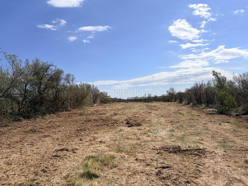 Foto 40f7244b-a9db-4f32-8747-6e02e5422a48. Finca rústica a Sant Pere Pescador