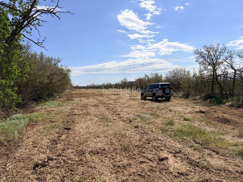 Foto 4731f679-f7bb-4599-9072-fefd9d07dd0f. Finca rústica a Sant Pere Pescador