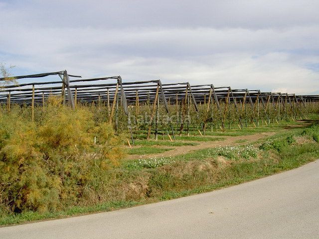 Foto 51eebc6f-e493-4023-907f-2a12b5744e18. Finca rústica a Sant Pere Pescador