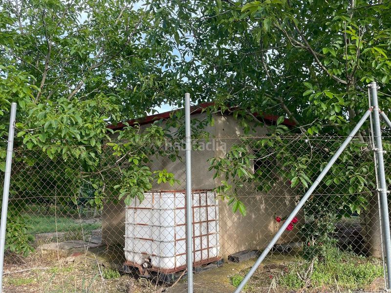 Foto 53cd67a9-d6bb-43cd-85dc-2c746b5c5a33. Finca rústica a Sant Pere Pescador