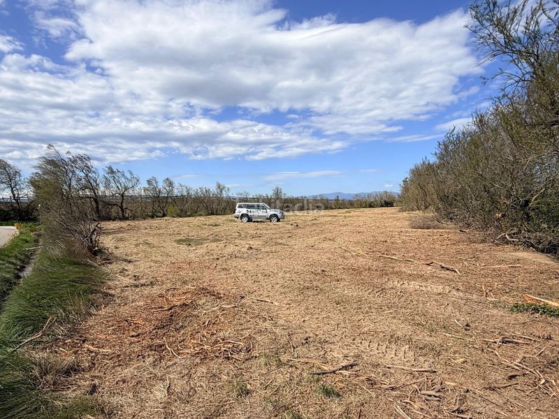 Foto 5e83b83d-2b10-4856-a897-73bf4ed1b03e. Finca rústica a Sant Pere Pescador