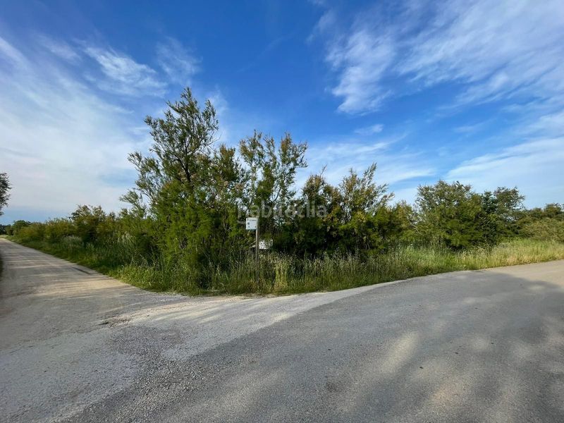 Foto 5e843abe-5883-4864-8253-46644d029de5. Finca rústica a Sant Pere Pescador