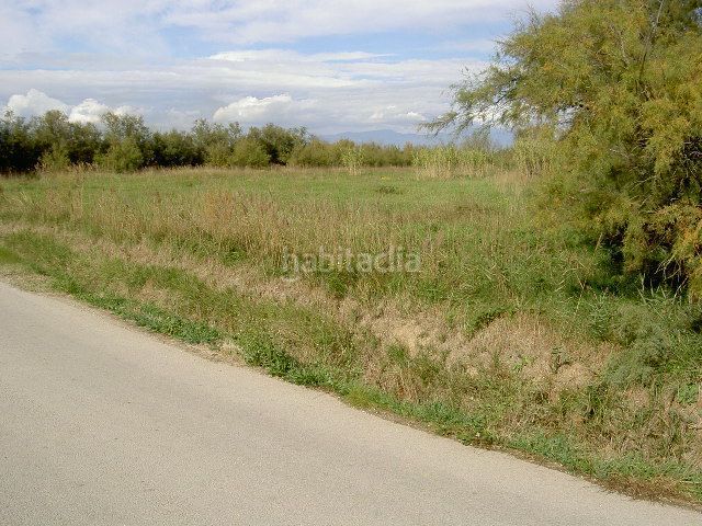 Foto 6b7bb7a5-c0c8-48ed-997c-55e5d421149a. Finca rústica a Sant Pere Pescador