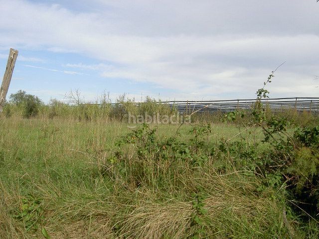 Foto 73a4b346-a959-4d06-9a50-a26542985829. Finca rústica a Sant Pere Pescador