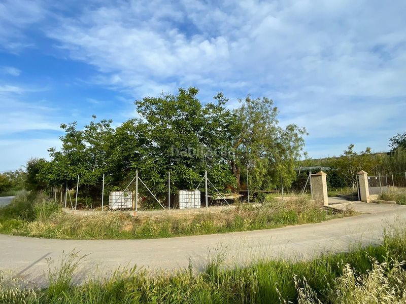 Foto 791f782c-8a61-42bb-9f8d-6fed42396411. Finca rústica a Sant Pere Pescador