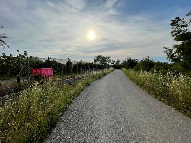 Foto 84337dce-9f78-4a6c-8dca-6012f81bb768. Finca rústica a Sant Pere Pescador