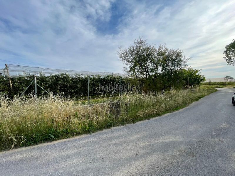 Foto 92fa0121-32b2-4d8f-b9f0-84048654f722. Finca rústica a Sant Pere Pescador