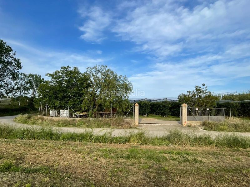 Foto 9cdb362d-10a7-4e0f-ba8f-686e02a1e451. Finca rústica a Sant Pere Pescador