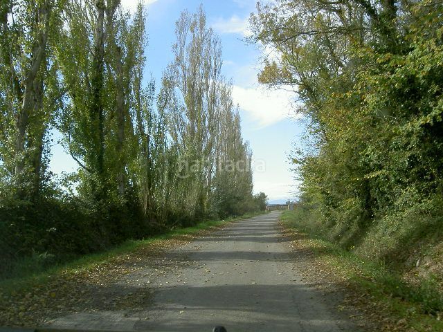 Foto a47fb9c6-b544-4ffe-b281-6cd2bd0089c6. Finca rústica a Sant Pere Pescador