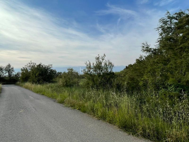 Foto b8e5a8d3-8506-4321-bf40-0ddd56e3a48e. Finca rústica a Sant Pere Pescador