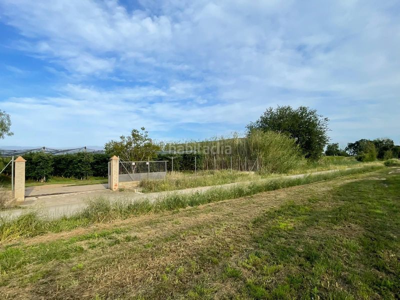 Foto c7eb4bb2-3602-4b5a-9279-ffa67de25c60. Finca rústica a Sant Pere Pescador