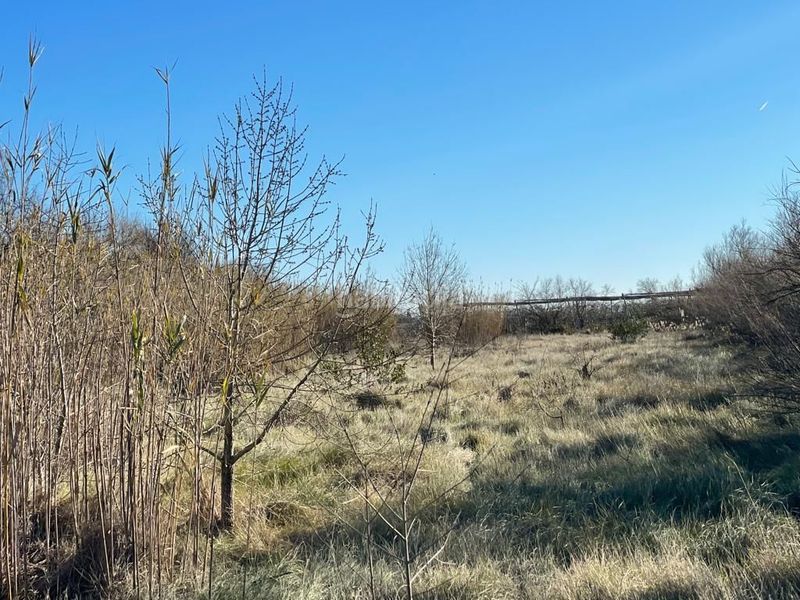 Foto d72957a7-269a-410d-9b47-6405d13400cb. Finca rústica a Sant Pere Pescador