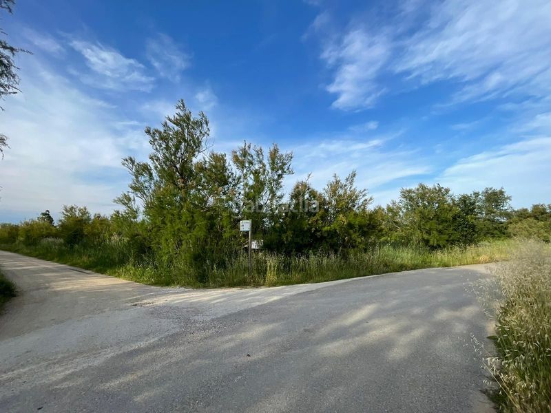 Foto f667d72f-cd2b-4c2c-855e-19f4f1c85cb7. Finca rústica a Sant Pere Pescador