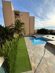 Apartament a Santa Margarida. Apartamento de 50 m2 construidos con 100 m2 de terrazas privativ