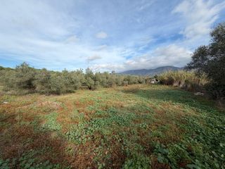Finca rústica a Nord. Precioso terreno agrícola de 8.606 m según catastro, destinado a