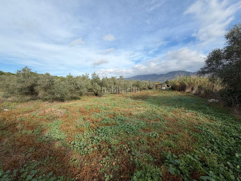 Foto 447d0f3d-9d8a-49a0-b697-b21d381be40e. Finca rústica a Nord Roses