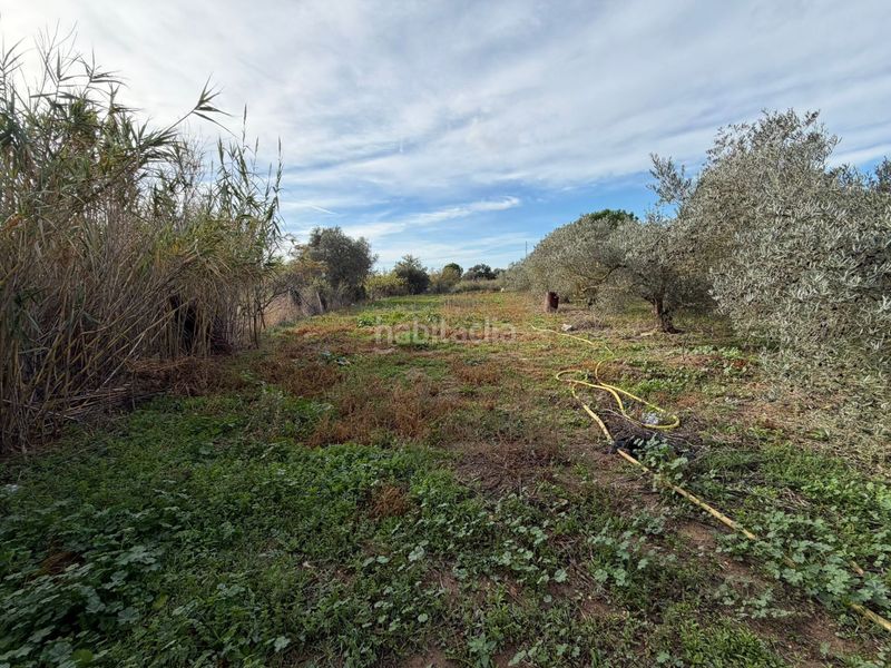 Foto 7ca456e1-a617-45e7-be6d-560286eac468. Finca rústica a Nord Roses