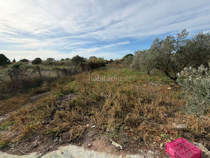 Foto afa1d068-0d5b-445d-8f84-913f0561a15f. Finca rústica a Nord Roses