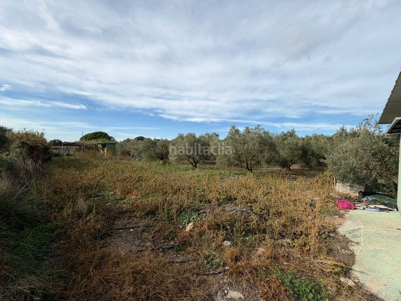 Foto e1381dc7-c367-46b9-b6c6-23cb520e8360. Finca rústica a Nord Roses