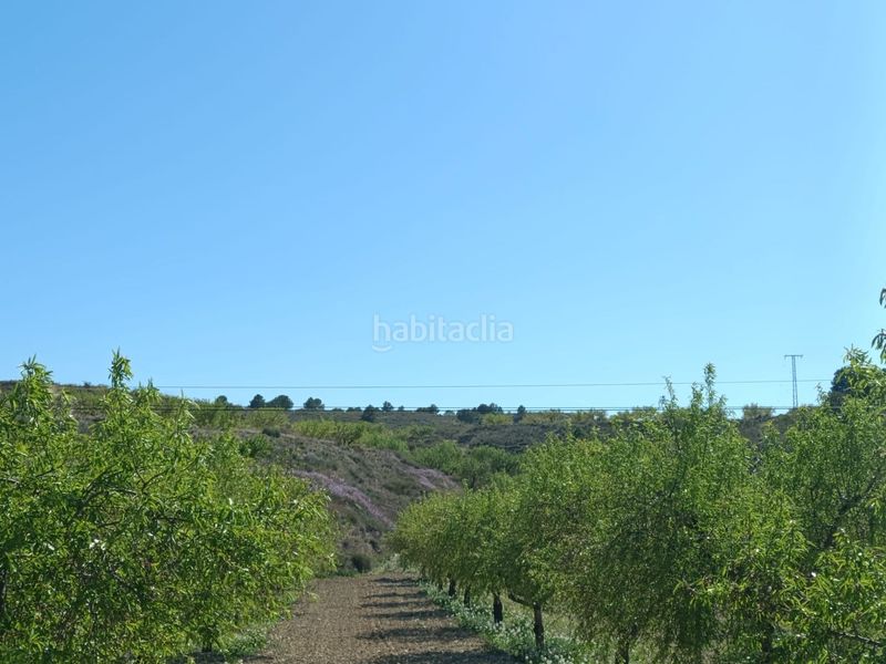Foto 39ab26fc-74ad-4a15-923c-710ea5c7fc32. Finca rústica a Barqueros Murcia