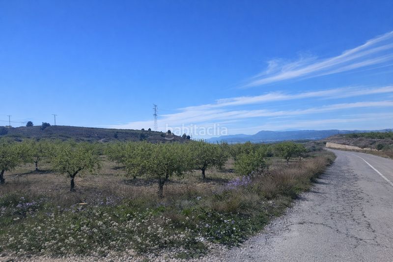Foto 9496e613-cb99-4f54-a1eb-6de5aa813787. Finca rústica a Barqueros Murcia