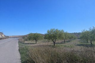 Finca rústica a Barqueros