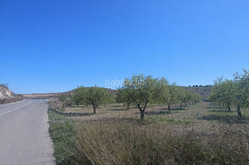 Foto dd9efe85-9a57-4b99-9647-a8dddf0eaa9d. Finca rústica a Barqueros Murcia