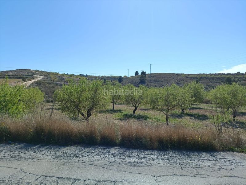 Foto e00fd805-ee41-4fd7-b402-7c6d226f250d. Finca rústica a Barqueros Murcia
