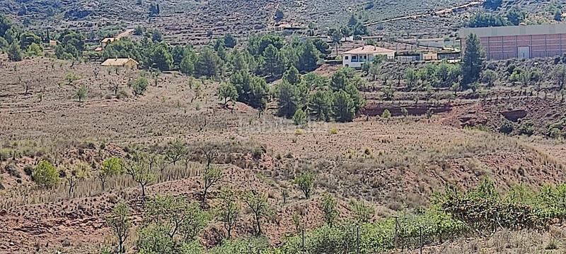 Foto 20812c46-5f48-4c26-815f-64e49bc9b306. Rural plot in Aledo