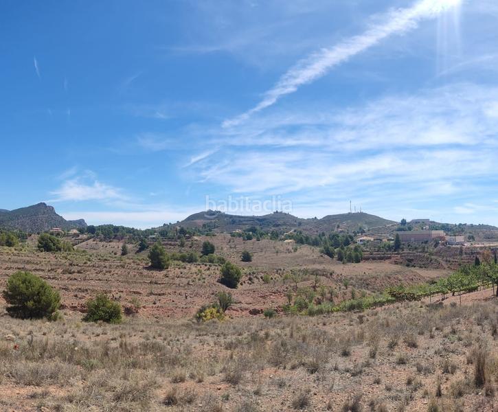 Foto 81df6ea3-dad7-446e-8a7f-59a64f096dc9. Rural plot in Aledo