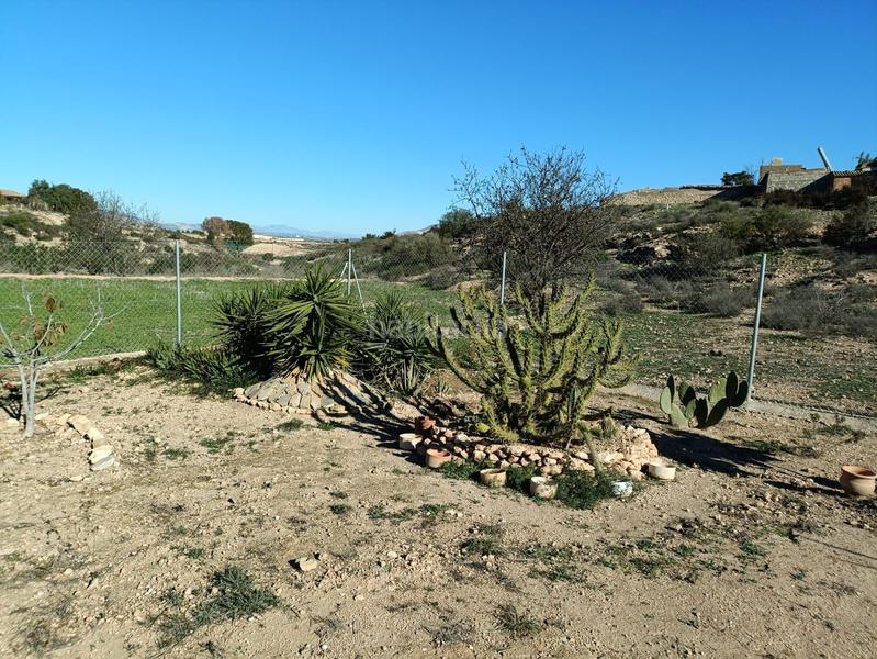 Foto 87a49f58-003f-44c5-9dc1-257467aaa1c5. Mas dans Totana