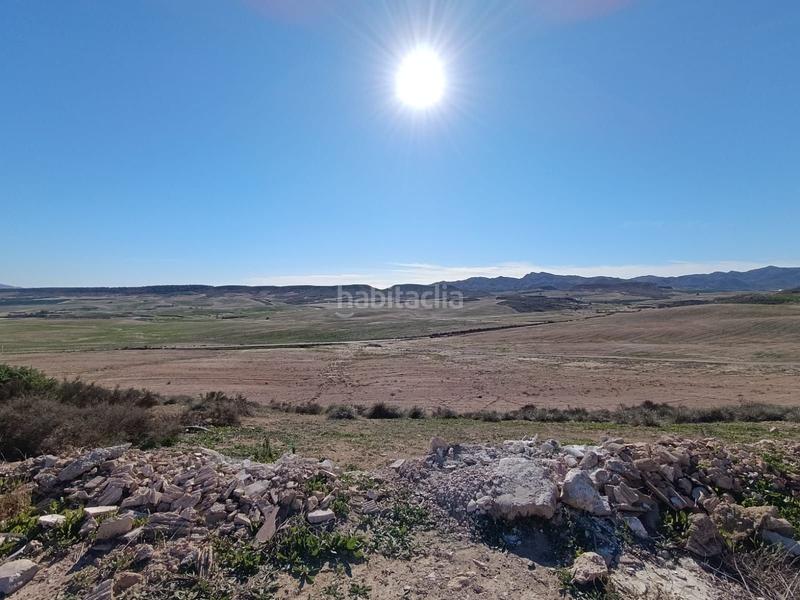 Foto 8c4787a3-fb8f-4716-9aaf-e93486fb5b72. Mas dans Totana