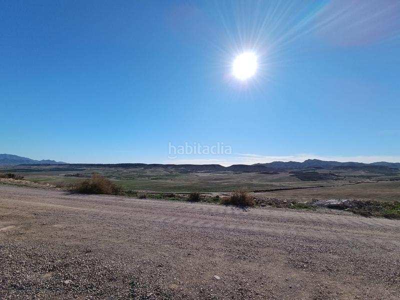 Foto c5c3e5d7-16ac-4507-944b-212023f5fe0d. Mas dans Totana