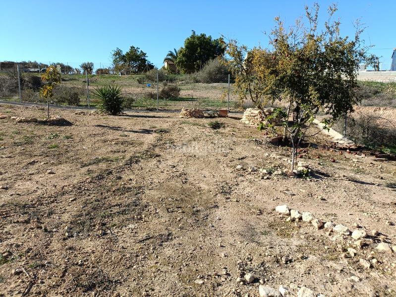 Foto e04eeb3a-d186-438a-a60f-a988f71e44fb. Mas dans Totana