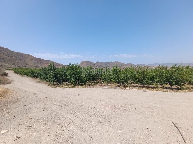 Foto 254f8658-0eca-418c-b9b1-be54e2d5b4a3. Finca rústica a Mazarrón casco urbano Mazarrón