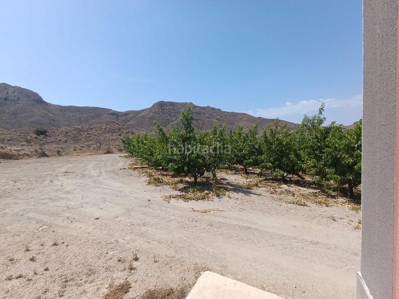 Foto 27f01949-3eda-4e31-b606-f078828aba1d. Finca rústica a Mazarrón casco urbano Mazarrón