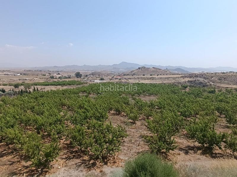 Foto 3304c205-3b7c-4ae0-bd69-b3912eee5ea3. Finca rústica a Mazarrón casco urbano Mazarrón